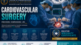 Cardiovascular Surgery program visual